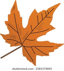 The illustration of single maple leaves that are identical to Canada's.