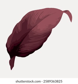 Illustration of a single maroon leaf with detailed texture. The maroon leaf is set against a light background, showcasing its intricate maroon design. Vintage botanical illustration vector.