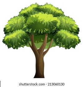 Illustration of a single oak tree