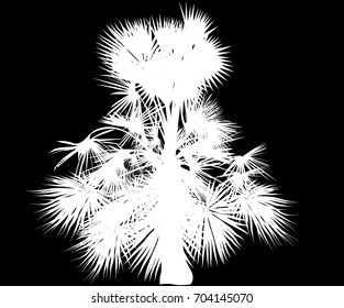 illustration with single palm tree isolated on black background