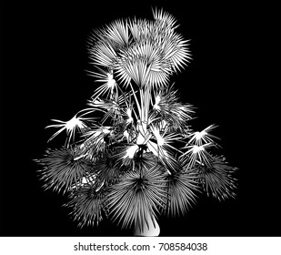 illustration with single palm tree isolated on black background