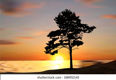 illustration with single pine tree silhouette at sunset near sea