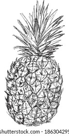 ilustración con un solo boceto de piña aislado en fondo blanco