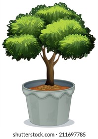 Illustration of a single potted plant