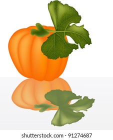 illustration with single pumpkin isolated on white background