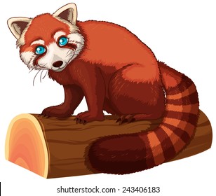 Illustration of a single red panda