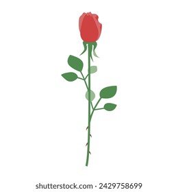 Illustration of a single rose, bud rose, icon, vector