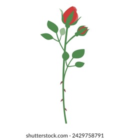 Illustration of a single rose, bud rose, icon, vector