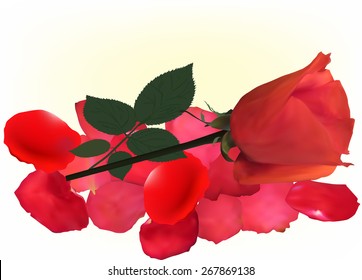 illustration with single rose flower on red petals