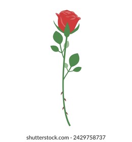Illustration of a single rose, icon, vector