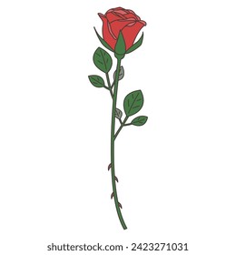 Illustration of a single rose vector