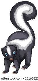 Illustration of a single skunk standing