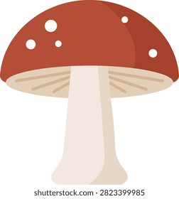 Illustration of a single spotted red mushroom with a wide cap and tall white stalk, mushroom