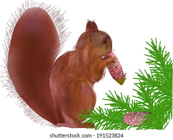 illustration with single squirrel isolated on white background