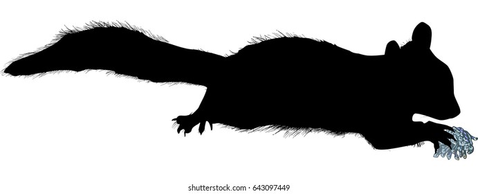 illustration with single squirrel sketch isolated on white background