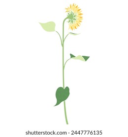 Ilustración de un solo girasol, icono, girasol espalda