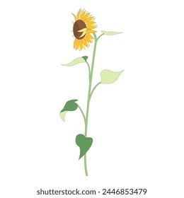 Illustration of a single sunflower, icon, sideways sunflower