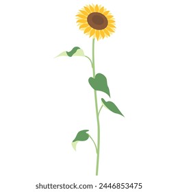 Illustration of a single sunflower, icon, vector