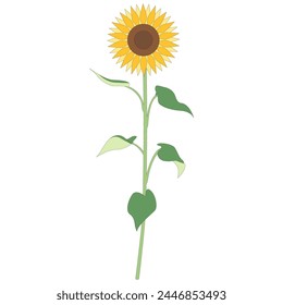 Illustration of a single sunflower, icon, vector