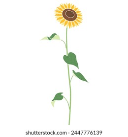 Illustration of a single sunflower, icon, vector