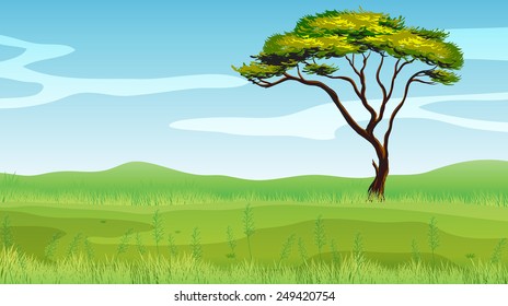 Illustration of a single tree on the green field