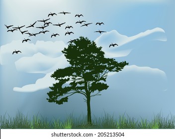 illustration with single tree under flying swans