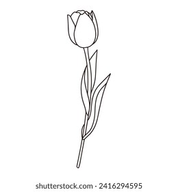 Illustration of a single tulip Line drawing Vector