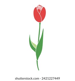 Illustration of a single tulip red vector