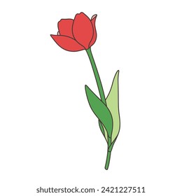 Illustration of a single tulip red vector