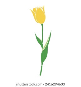 Illustration of a single tulip yellow vector