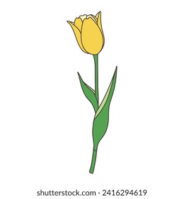 Illustration eines einzelnen Tulpengelbes