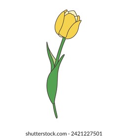 Illustration of a single tulip yellow vector