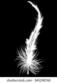 ilustración con una sola pluma blanca aislada en fondo negro