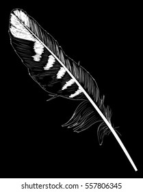 illustration with single white feather sketch on black background