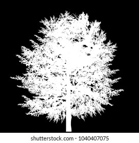illustration with single white pine silhouette isolated on black bacgkround