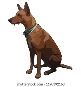 Illustration of sitting dog. Vector, EPS10