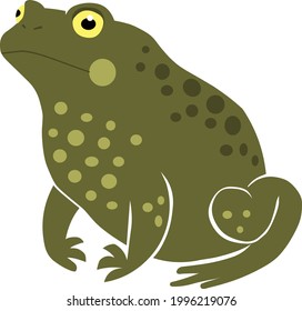 Illustration of a sitting friendly toad