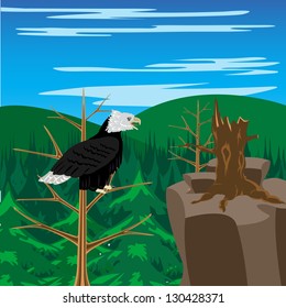 Illustration sitting on tree hollered in wood