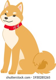 Illustration of a sitting Shiba Inu (wearing a red collar)