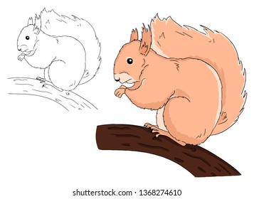 Illustration of sitting squirrel on branch on white background. Vector hand drawn art for coloring book for children. Animal sketch by free hand.