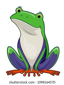 Illustration of a Sitting Tree Frog in Green, Purple, Orange and White Colors