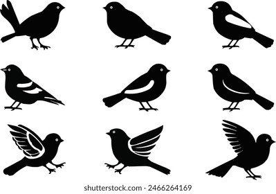 Illustration of six black bird silhouettes in three rows on a light white background. Birds in different postures and styles