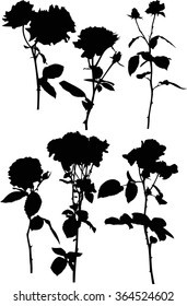 illustration with six black rose flowers isolated on white background