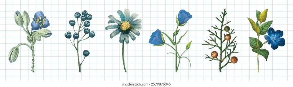 Illustration of six blue flowers and plants on graph paper. Blue flowers, green leaves, and berries. Botanicals, blue and green hues, floral design. Spring flower illustrations, isolated vector set.