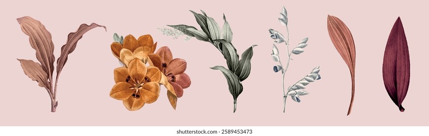 Illustration of six botanical elements, featuring various leaves and flowers. Botanical design with leaves and flowers, showcasing nature's diversity. Nature illustrations, isolated element vector set