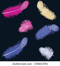 ilustración con seis plumas de color aisladas en fondo negro