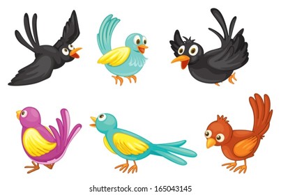 Illustration of the six colorful birds on a white background