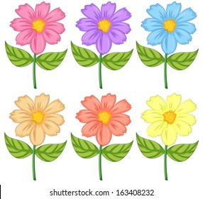 Illustration of the six colorful flowers on a white background