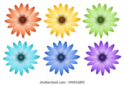 Illustration of the six colorful flowers on a white background