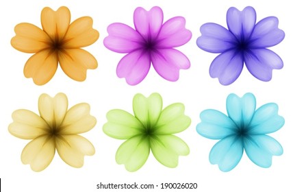 Illustration of the six colourful and blooming flowers on a white background